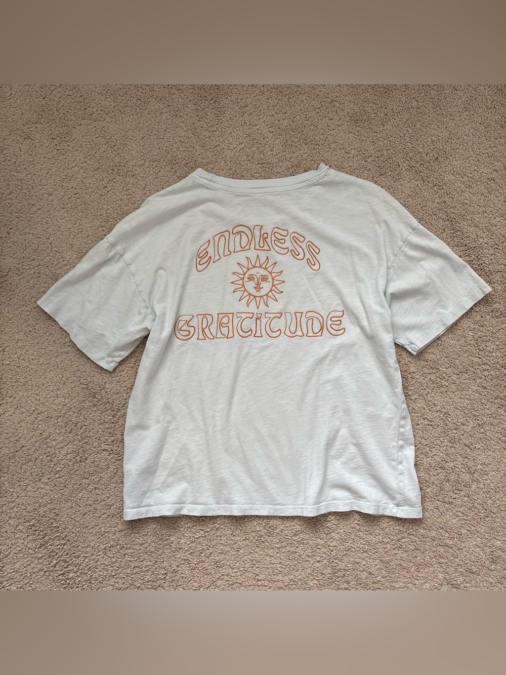 American Eagle Light Blue Tee with Orange Endless Gratitude embroidery